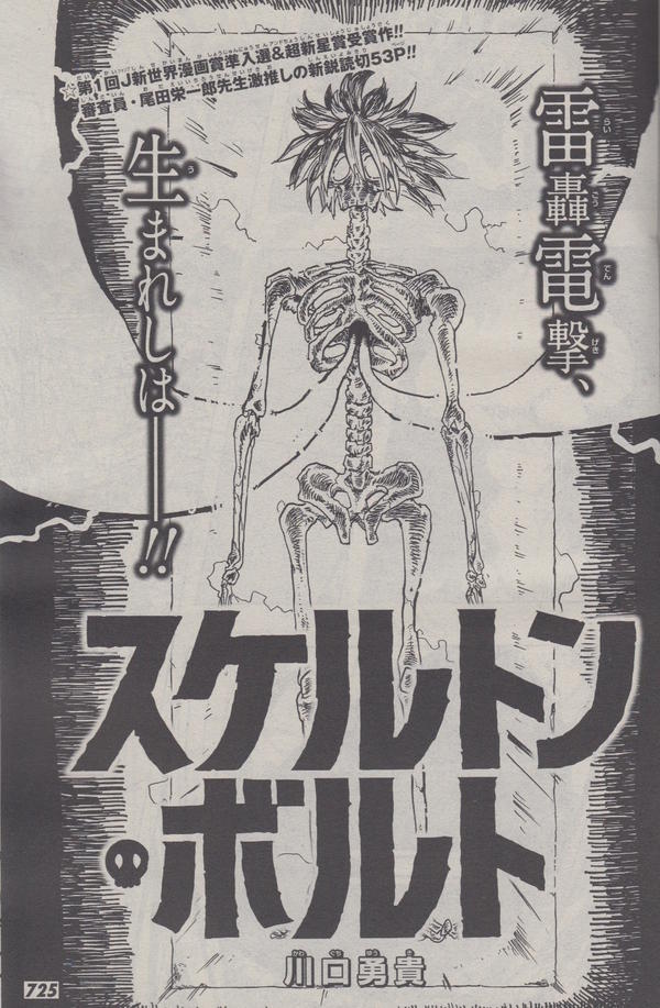 ジャンセン 画集 大型本